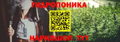 a pvp Азнакаево