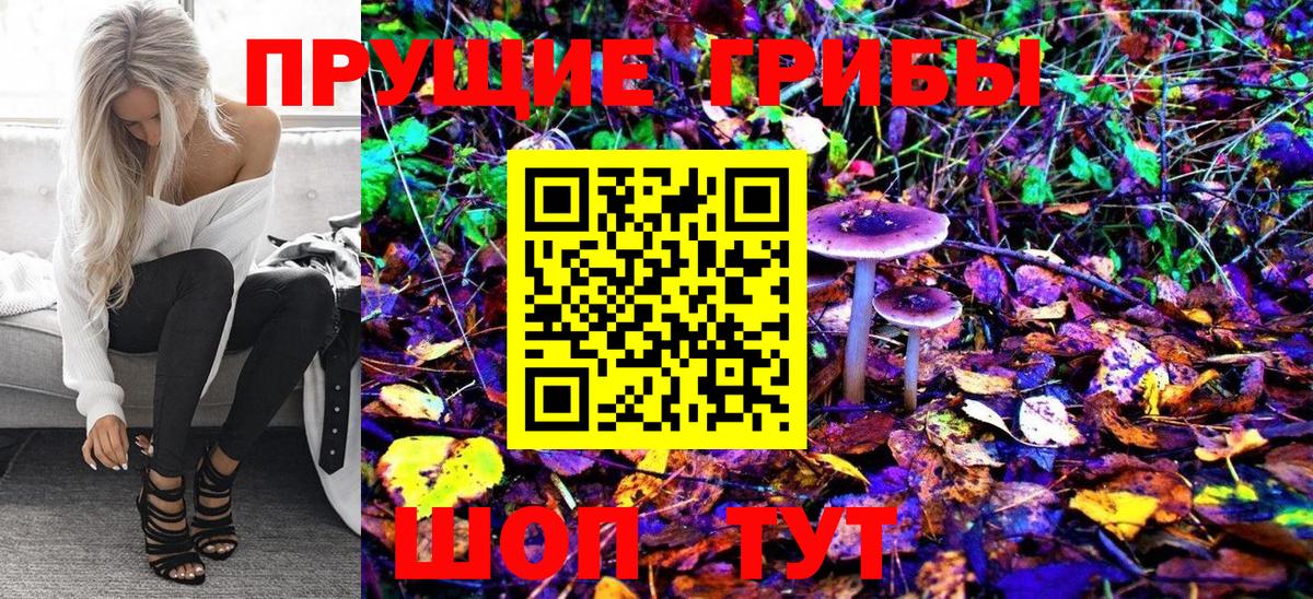 как найти закладки  Псилоцибиновые грибы GOLDEN TEACHER  Вход с VPN  Алексин 